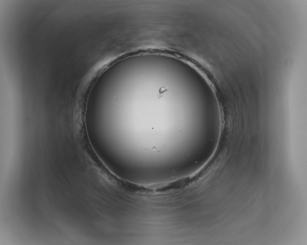 X0000112391359200908131540