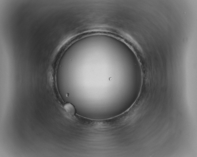 X0000112391360200908131540