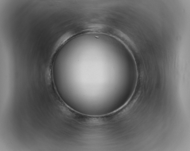 X0000112391362200908131540