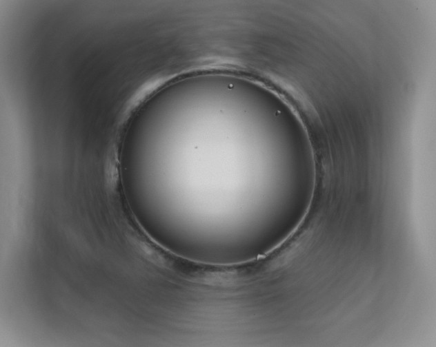 X0000112391363200908131540