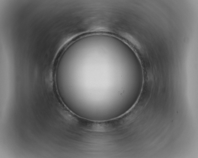 X0000112391364200908131540