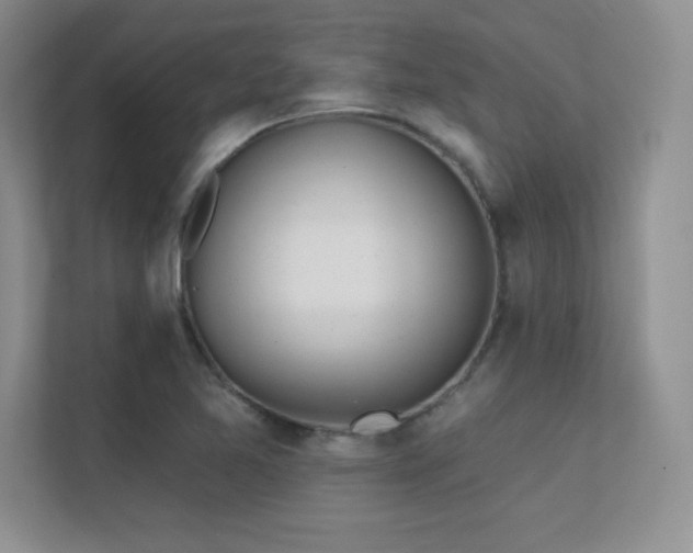 X0000112391365200908131540