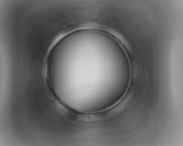 X0000112391366200908131540