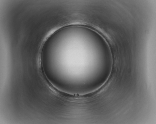 X0000112391367200908131540