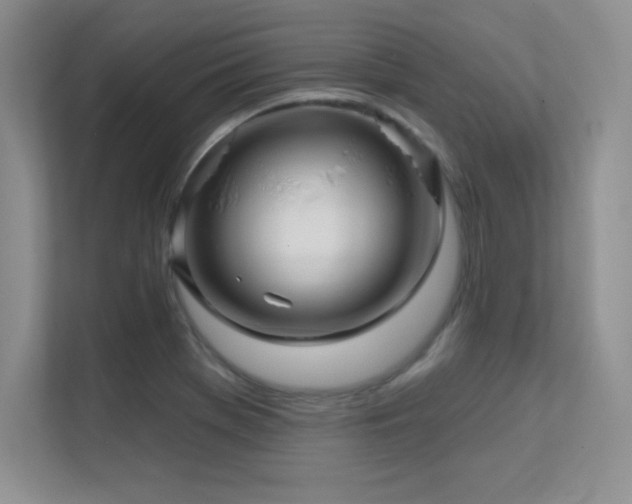 X0000112391369200908131540