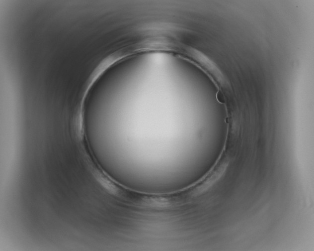 X0000112391370200908131540