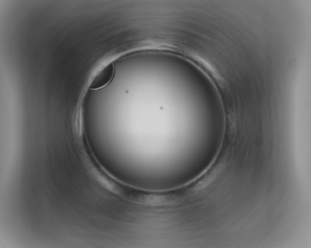 X0000112391371200908131540