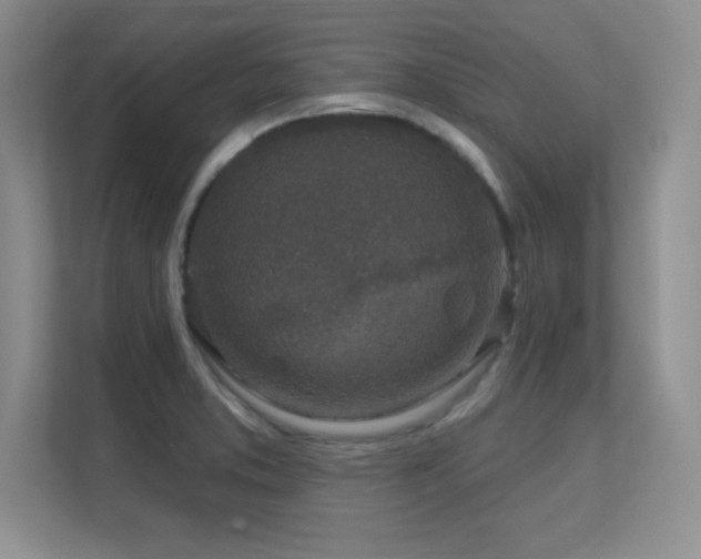 X0000112391373200908131540