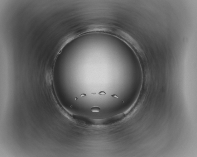 X0000112391377200908131540