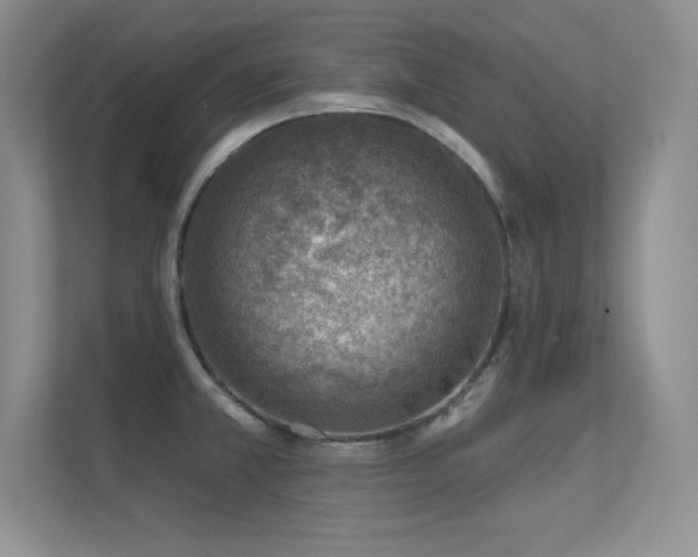 X0000112391381200908131540