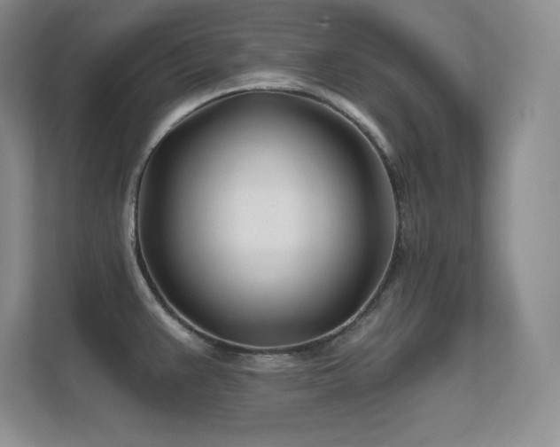 X0000112391383200908131540