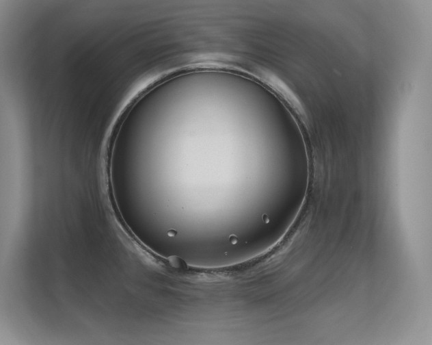 X0000112391384200908131540