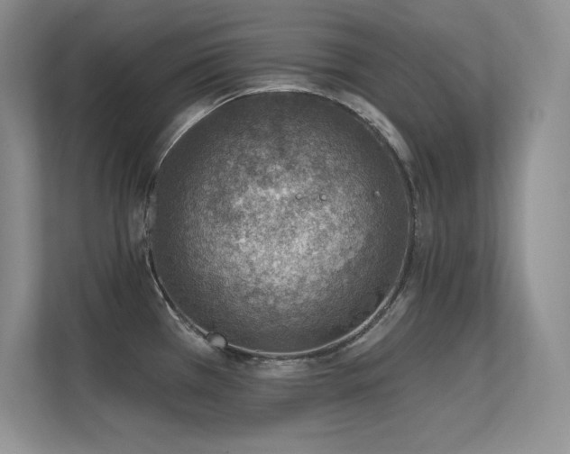 X0000112391385200908131540