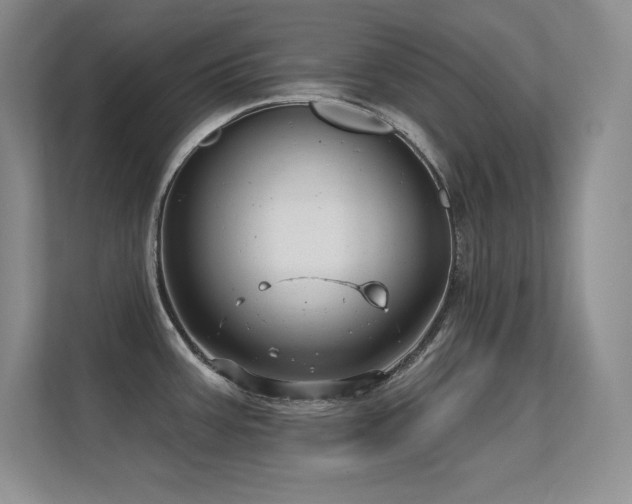 X0000112391387200908131540