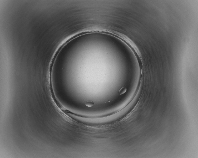 X0000112391388200908131540