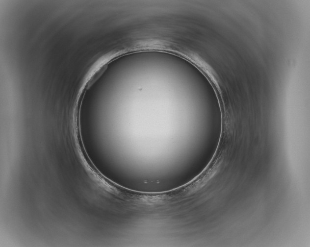 X0000112391389200908131540