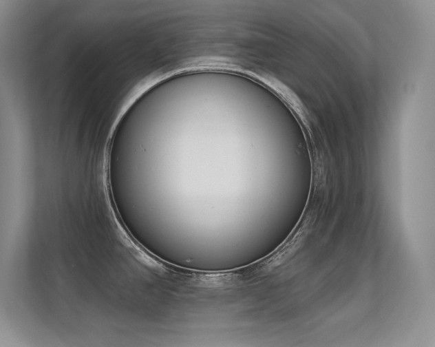 X0000112391390200908131540