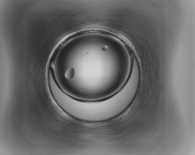 X0000112391392200908131540