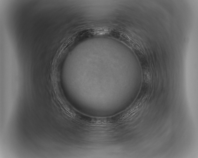 X0000112391393200908131539