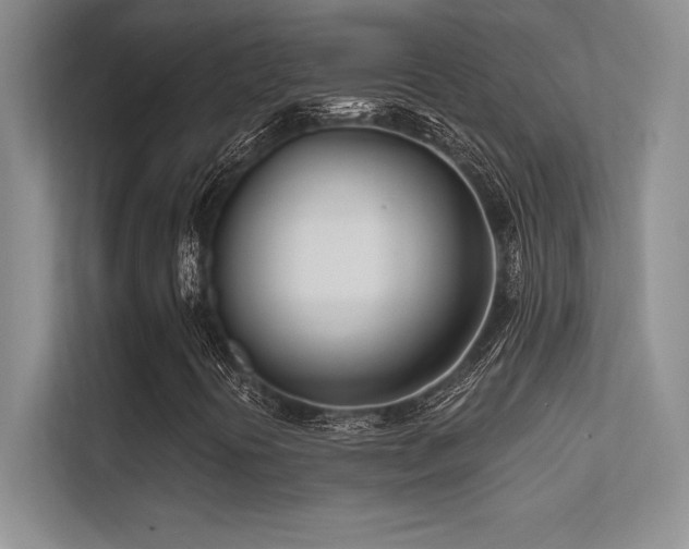 X0000112391394200908131539