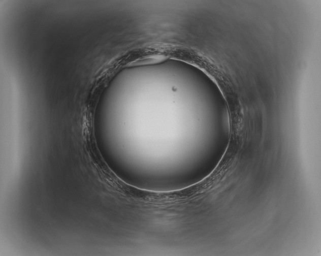 X0000112391397200908131539