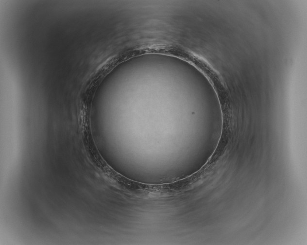 X0000112391399200908131539