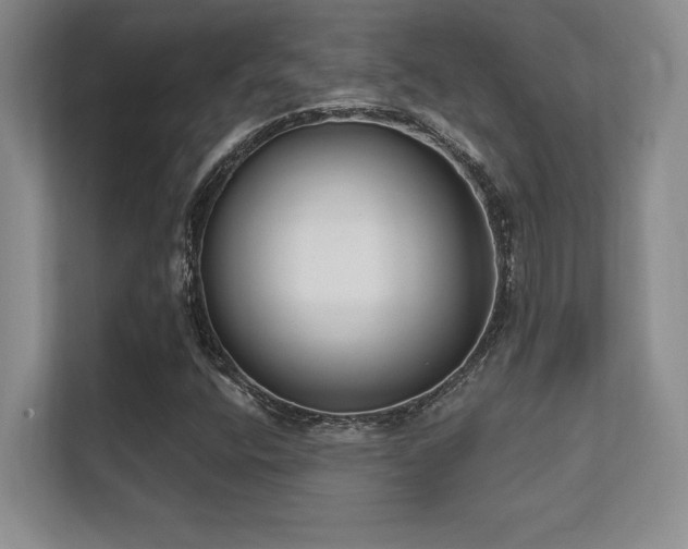 X0000112391400200908131539