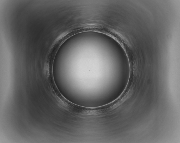 X0000112391402200908131540