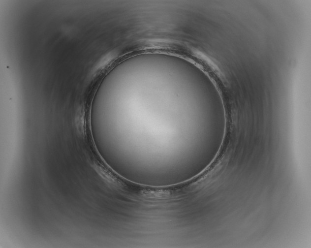 X0000112391403200908131540