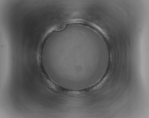 X0000112391405200908131540