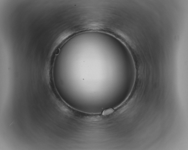 X0000112391410200908131540