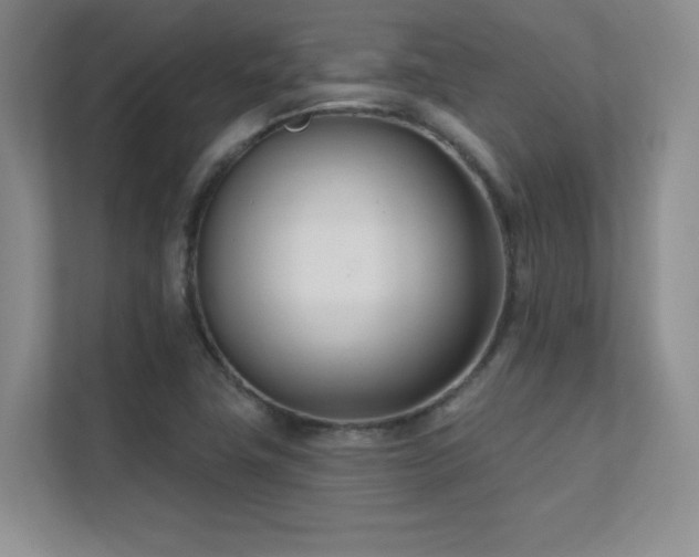 X0000112391411200908131540