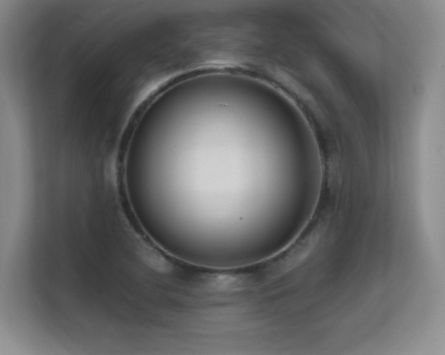 X0000112391412200908131540