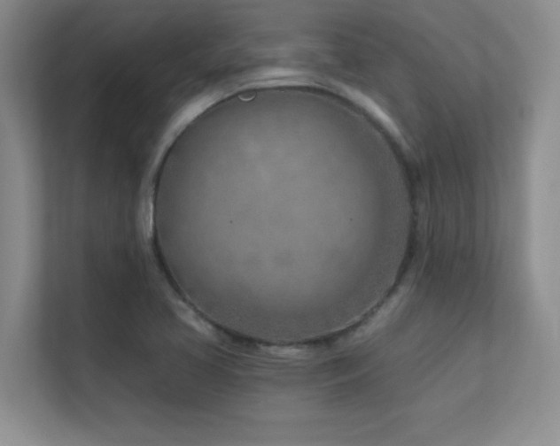 X0000112391413200908131540