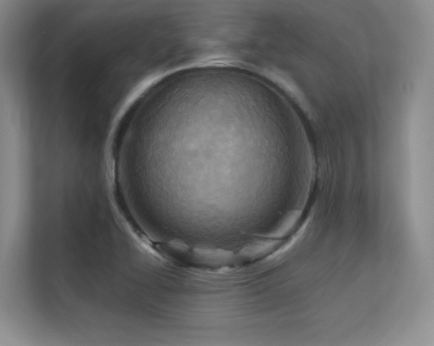 X0000112391414200908131540