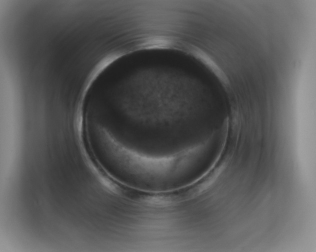 X0000112391418200908131540