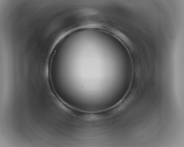 X0000112391420200908131540