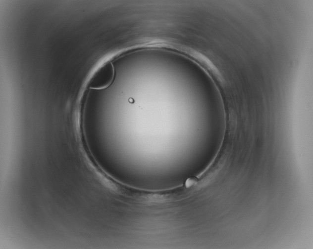 X0000112391424200908131540