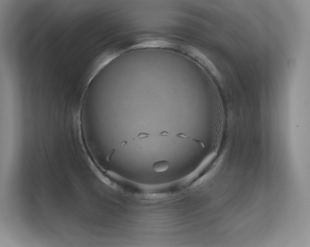 X0000112391425200908131540