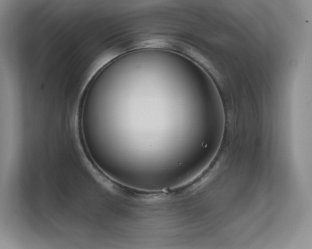 X0000112391426200908131540