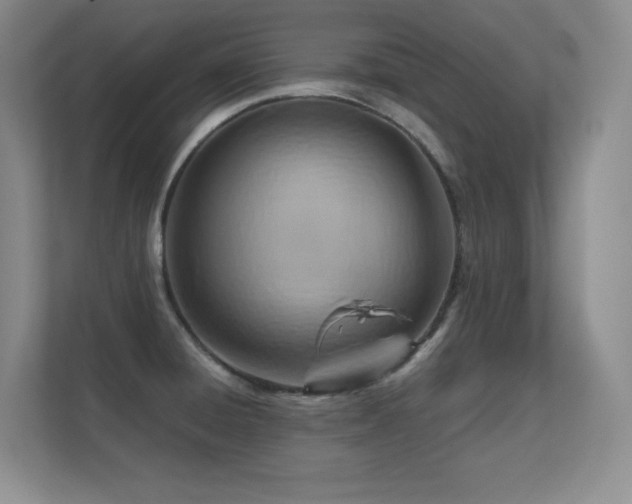 X0000112391428200908131540