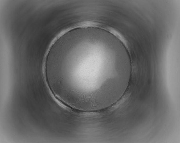 X0000112391429200908131540