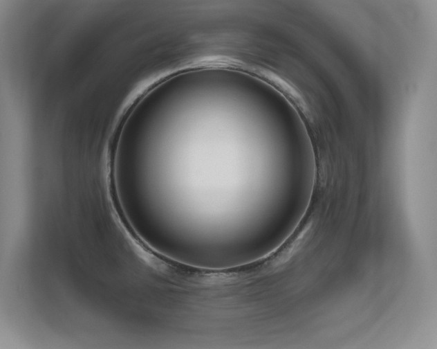 X0000112391430200908131540