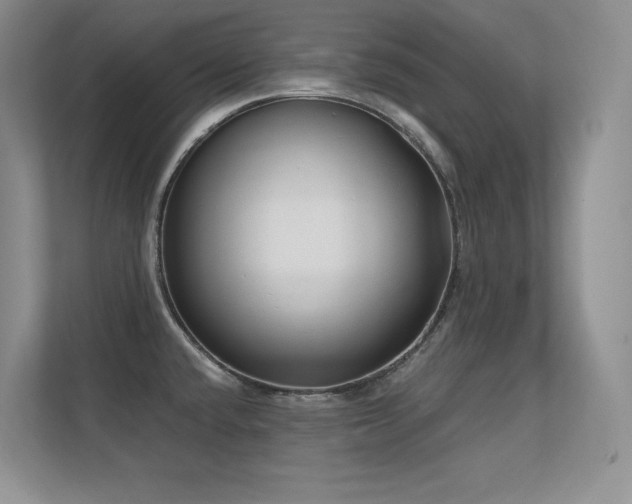 X0000112391432200908131540