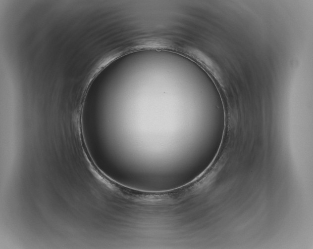 X0000112391433200908131540