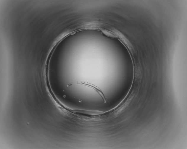 X0000112391434200908131540