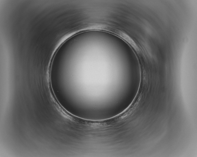 X0000112391436200908131540