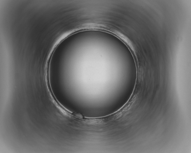 X0000112391437200908131540