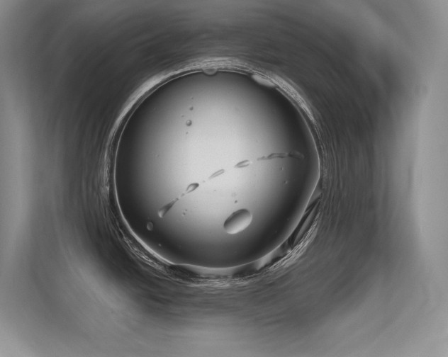 X0000112391438200908131540