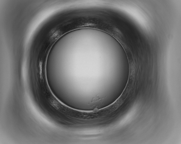 X0000112391439200908131540